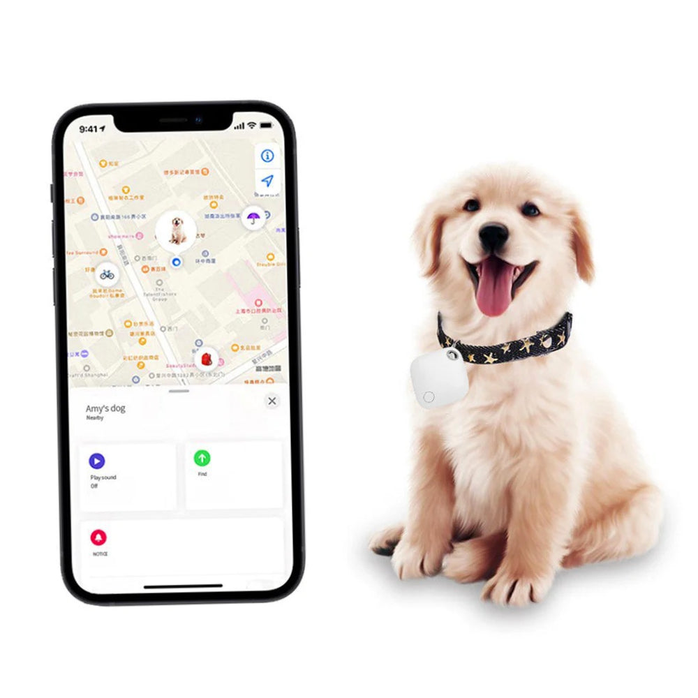 Localizzatore GPS per iPhone – Cerca oggetti con app - ambraled
