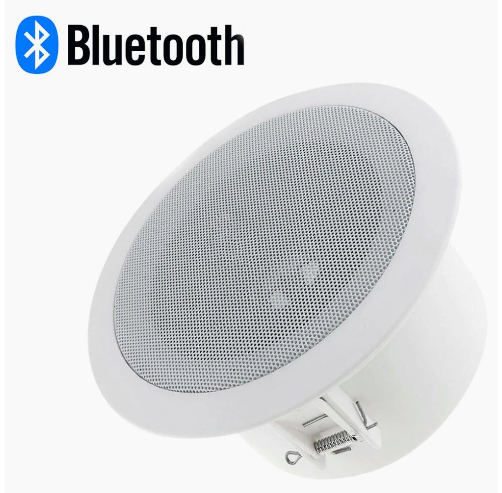 Casse Bluetooth amplificate 15W 8Ω – per incasso e filodiffusione - ambraled