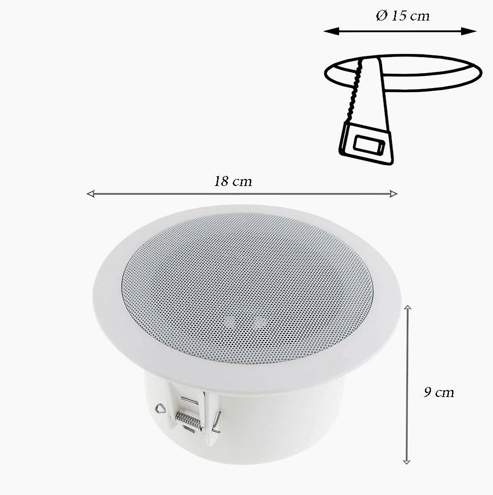 Casse Bluetooth amplificate 15W 8Ω – per incasso e filodiffusione - ambraled