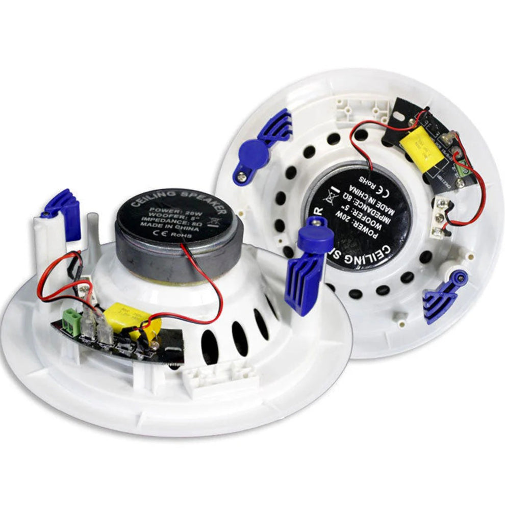 Casse Bluetooth amplificate 20W 8Ω – per incasso e filodiffusione - ambraled