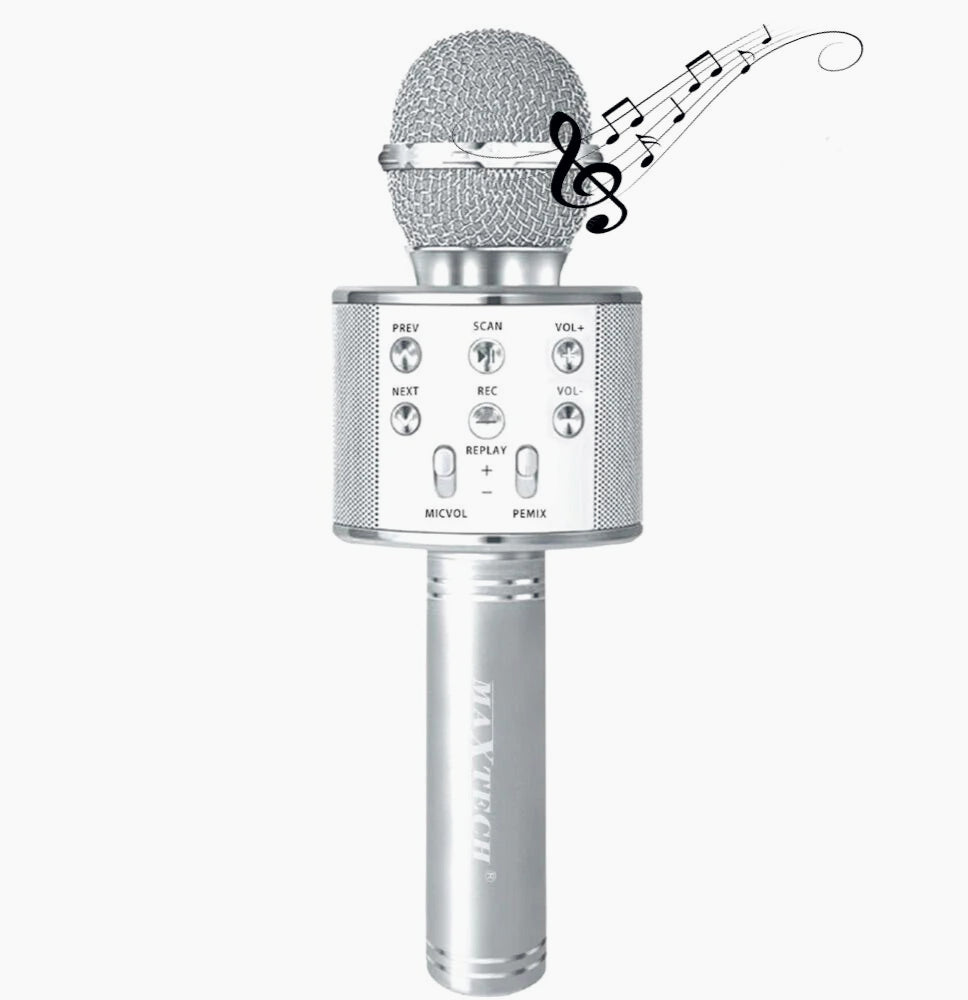 Microfono Bluetooth karaoke – con cassa, REC, TF e USB - ambraled