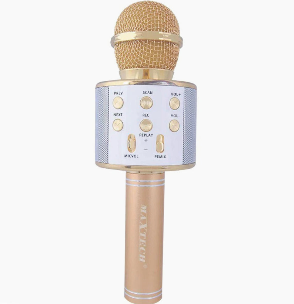 Microfono Bluetooth karaoke – con cassa, REC, TF e USB - ambraled