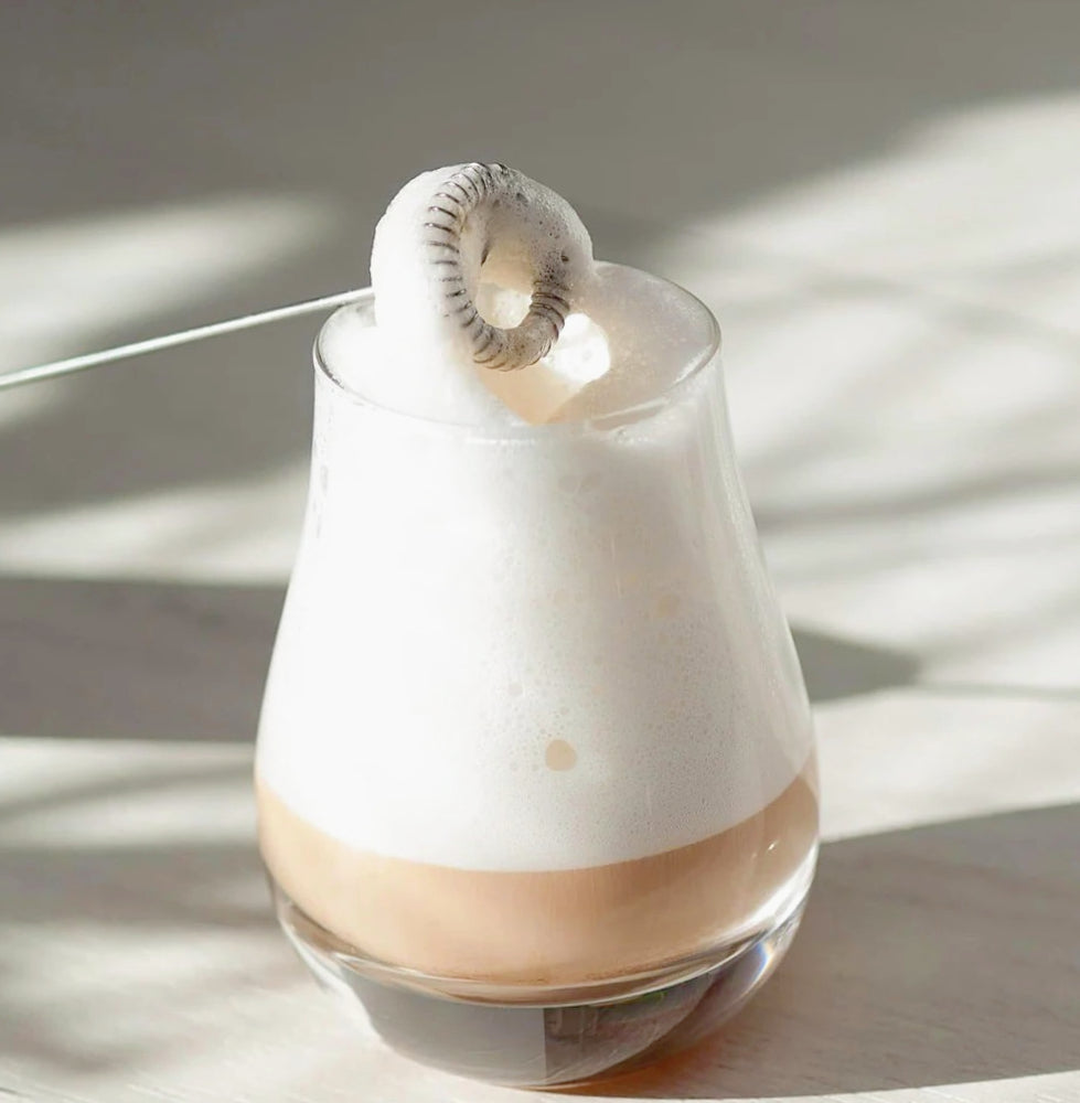 Frullino montalatte elettrico – immersione cappuccinatore - ambraled