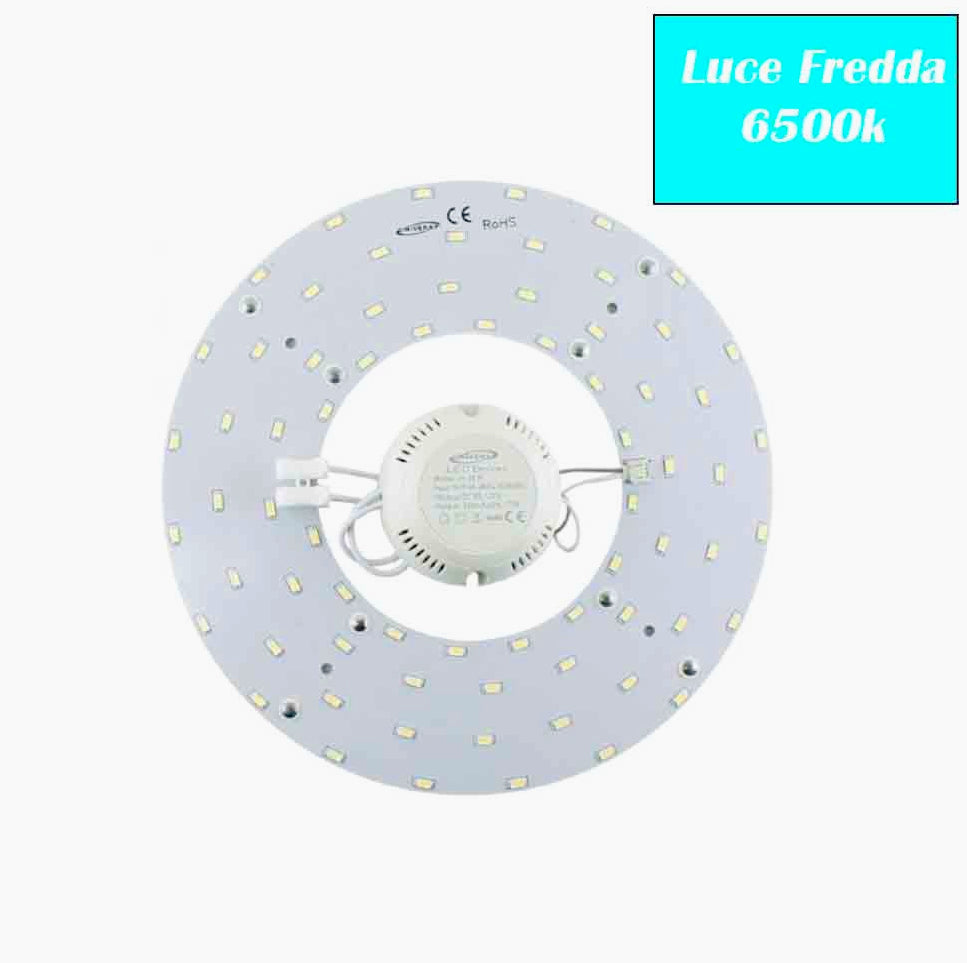 Modulo LED Circolina 22W – ricambio neon per plafoniere - ambraled