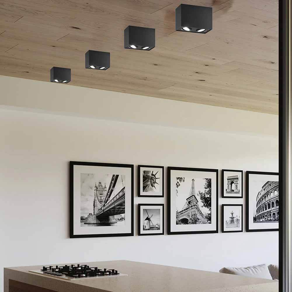 Portafaretto doppio esterno orientabile – Mini plafoniera per illuminazione esterna - ambraled