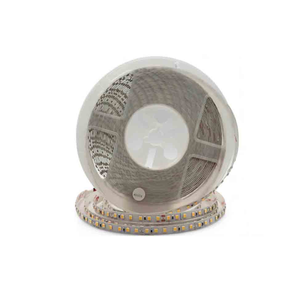 Striscia led strip 2835 10 metri 24V 50 watt luce 6500k 3000k 4000k - ambraled