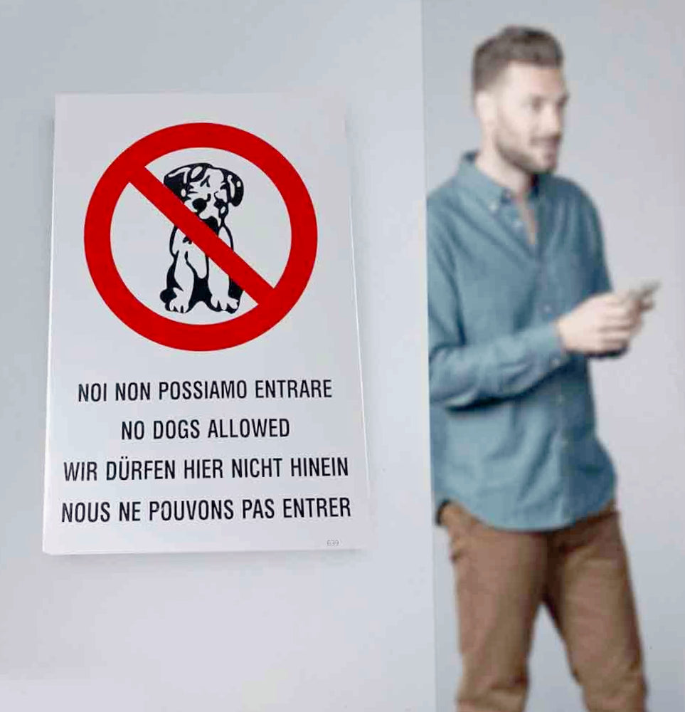 Cartello "Divieto Cane" plastificato 30.5x20cm con biadesivo - ambraled