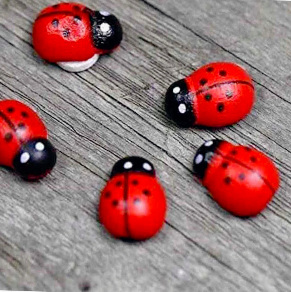 Coccinelle adesive 100 pz – per decorare bomboniere e biglietti - ambraled