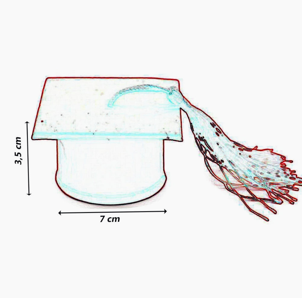Set 12 scatoline porta confetti a forma di cappello toppo in velluto – bomboniere laurea - ambraled