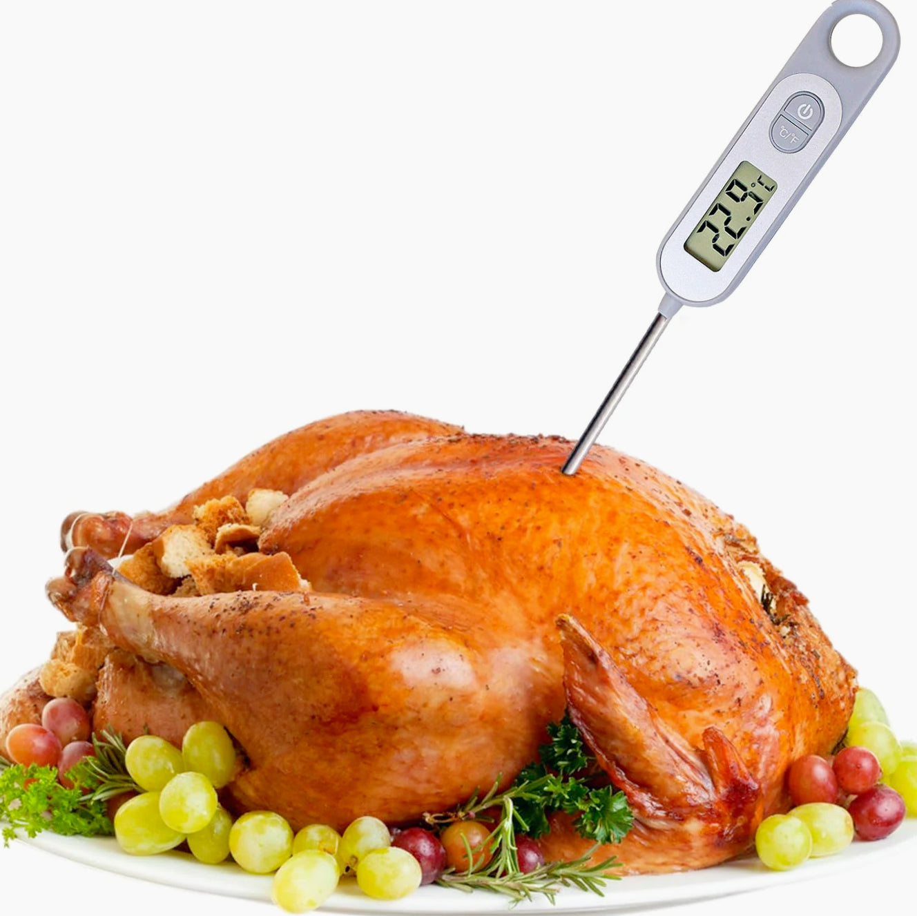 Termometro da cucina digitale per alimenti – Con sonda da 50° a 300°C