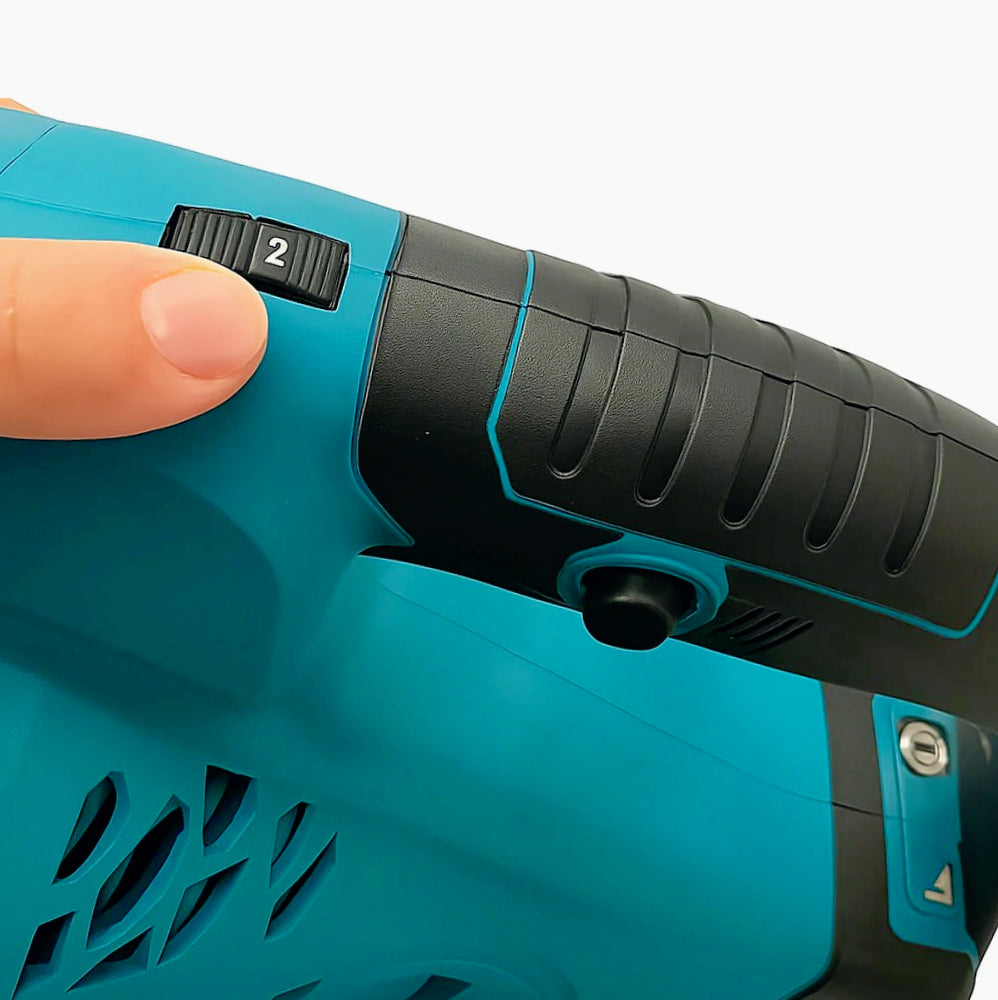 Soffiatore elettrico a batteria 48V per foglie, 2 velocità - ambraled