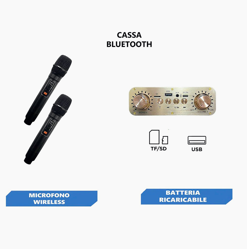 Cassa karaoke Bluetooth – 2 mic wireless, FM, USB/SD, luci - ambraled