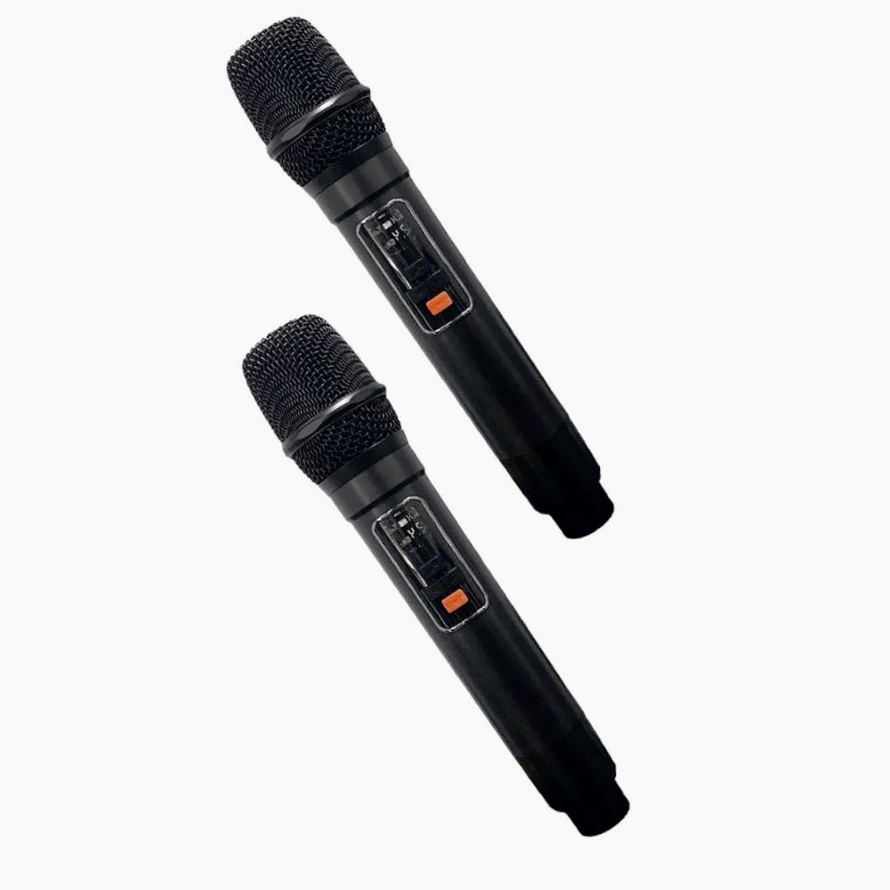Cassa karaoke Bluetooth – 2 mic wireless, FM, USB/SD, luci - ambraled