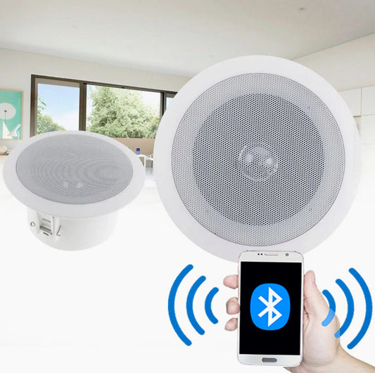 Casse Bluetooth amplificate 15W 8Ω – per incasso e filodiffusione - ambraled