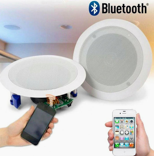 Casse Bluetooth amplificate 20W 8Ω – per incasso e filodiffusione - ambraled