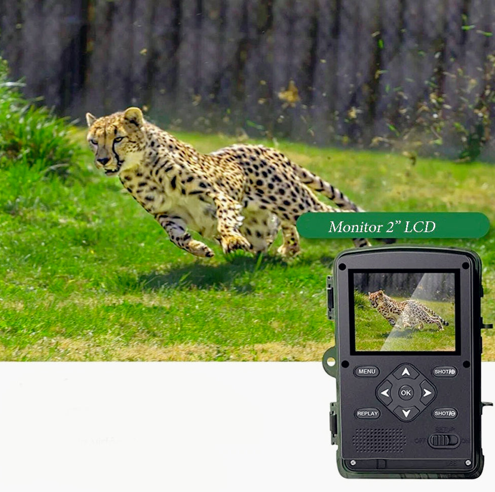 Fototrappola 2” Full HD – sensore IR LED IP66 per animali - ambraled