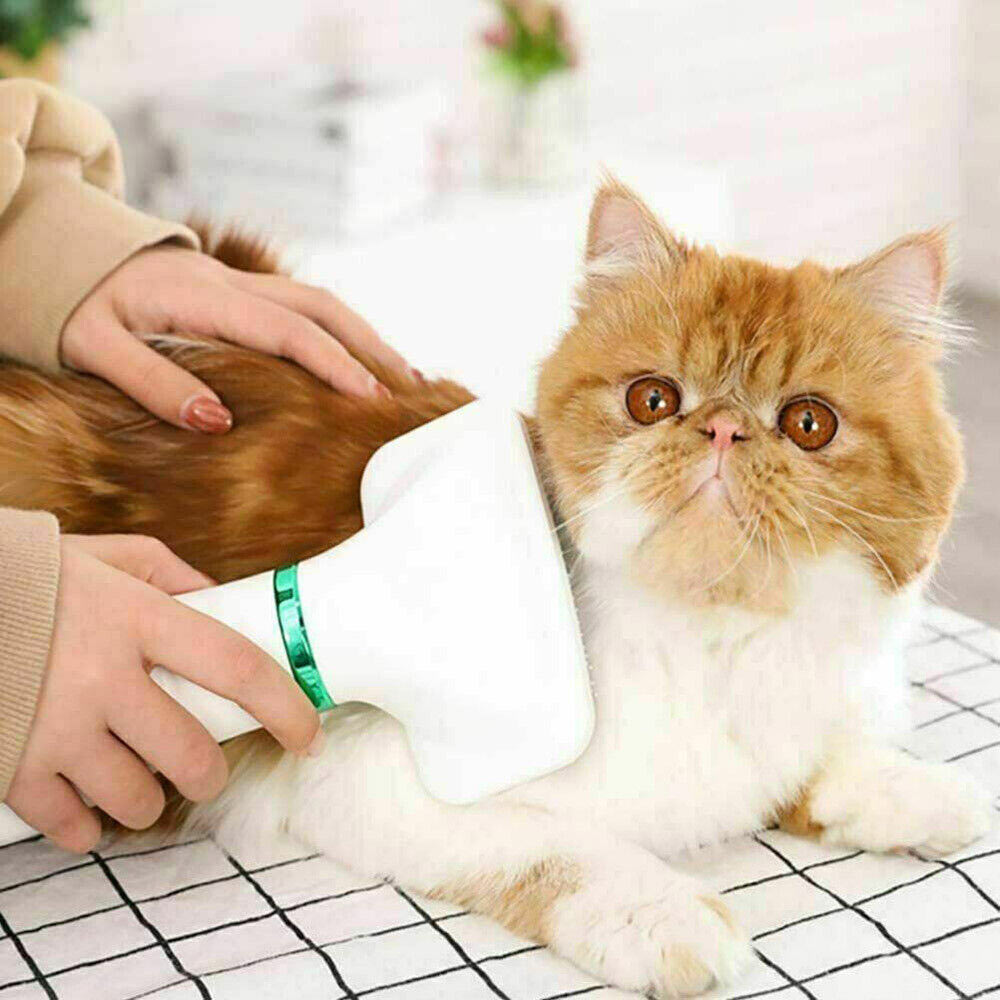 Spazzola phon x cani e gatti asciugacapelli 3 potenze toelettatura - ambraled