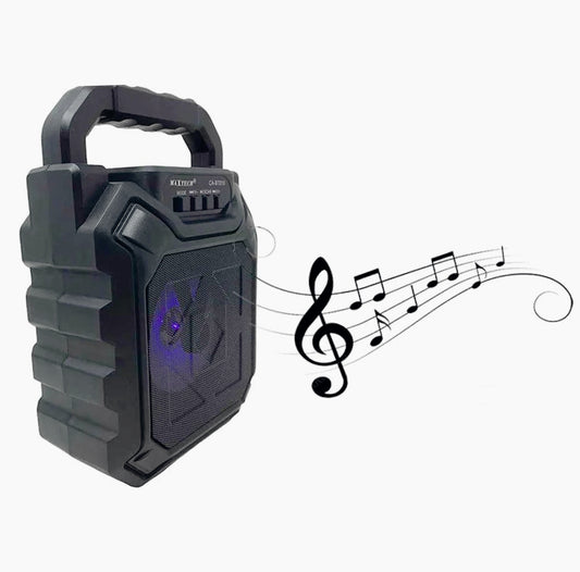 Cassa Bluetooth 10W – luci, AUX/USB/SD/radio FM per ingresso - ambraled
