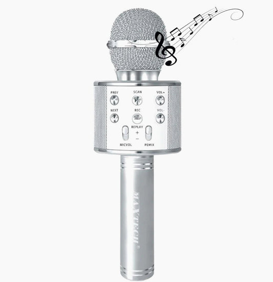 Microfono Bluetooth karaoke – con cassa, REC, TF e USB - ambraled