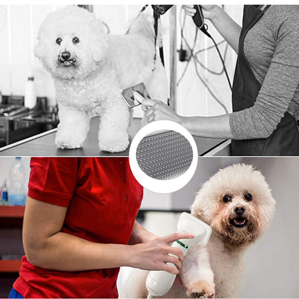 Spazzola phon x cani e gatti asciugacapelli 3 potenze toelettatura - ambraled