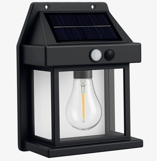 Lampada solare 1W con sensore luce e movimento – Impermeabile IP65 - ambraled