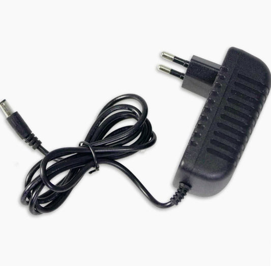 Alimentatore 24W 12V 2A – Trasformatore con spina e jack in uscita - ambraled