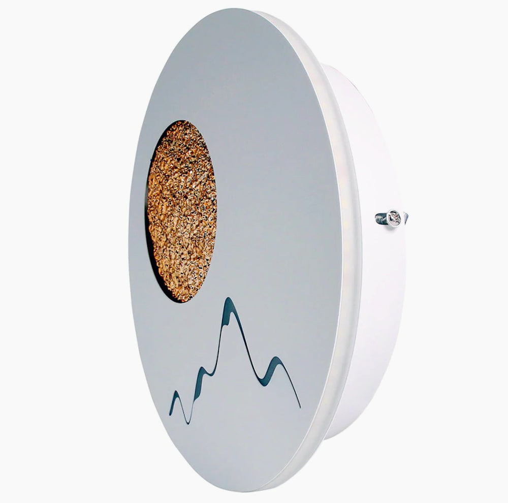 Applique LED moderna rotonda da parete 16W – Regolazione CCT con 3 tonalità di luce - ambraled