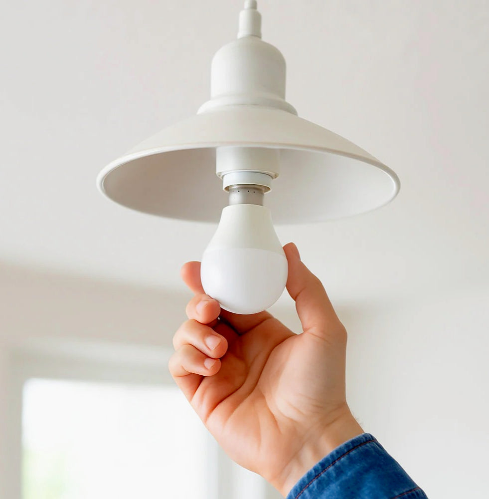 Lampadina LED a sfera E14 8W – Luce fredda / calda / naturale - ambraled