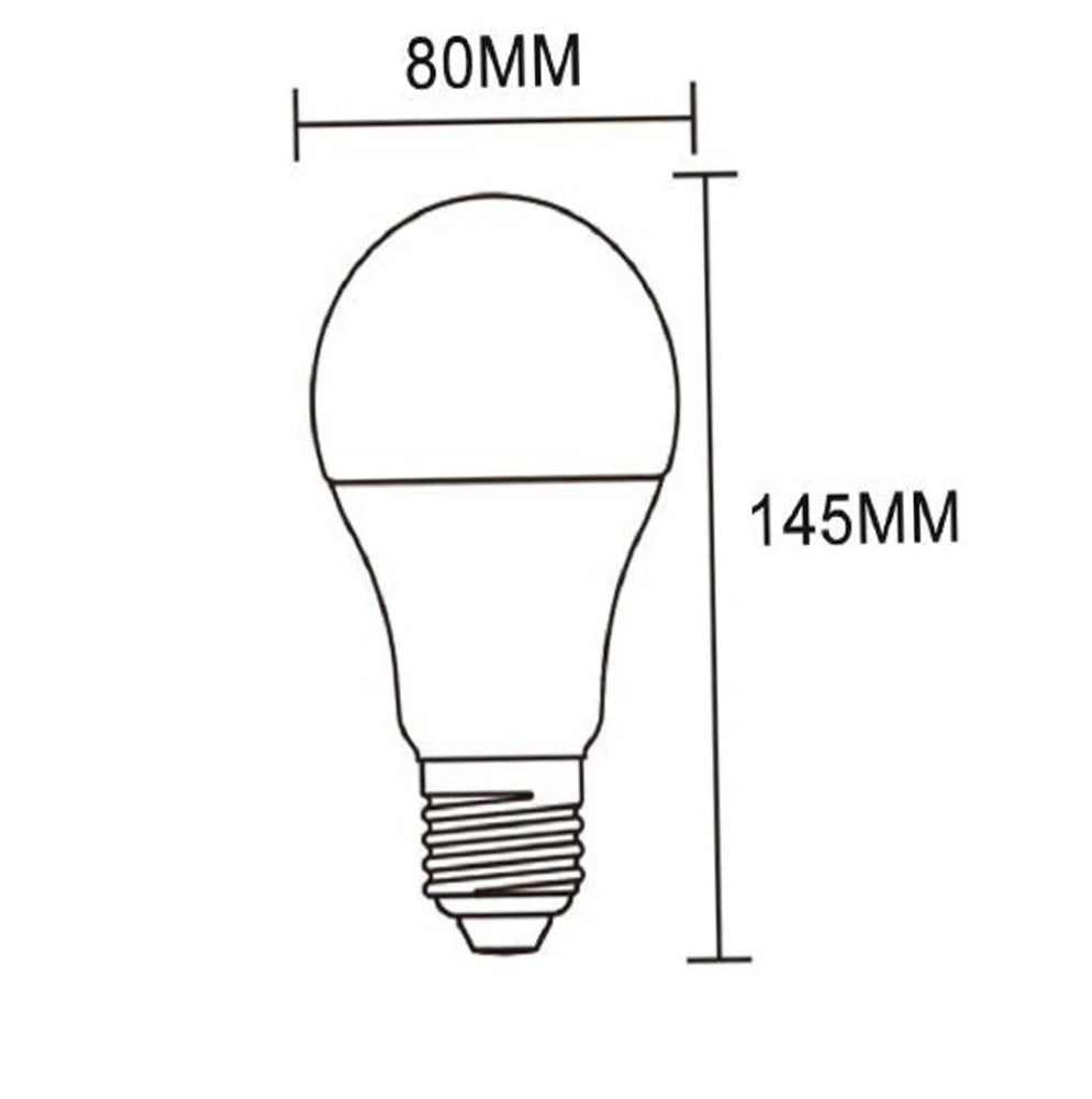 Lampadina LED 16,5W A80 E27 – Luce fredda / calda / naturale - ambraled