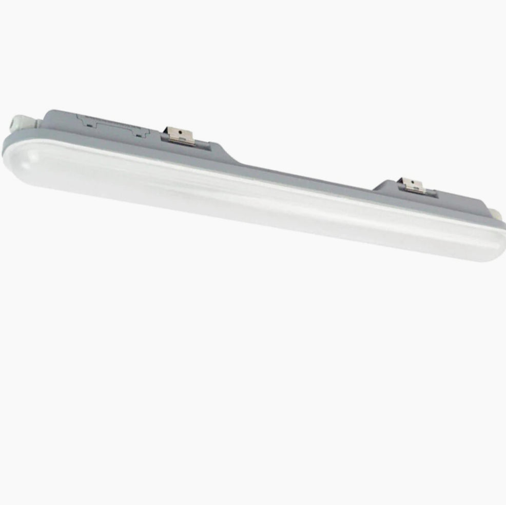 Plafoniera LED al neon per esterni - Tubo 36W 120cm, IP65, 6500K - ambraled