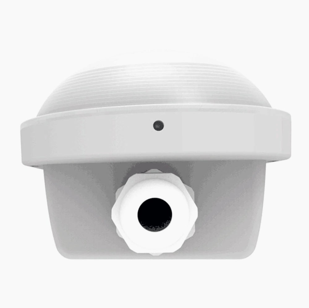 Plafoniera LED al neon per esterni - Tubo 36W 120cm, IP65, 6500K - ambraled