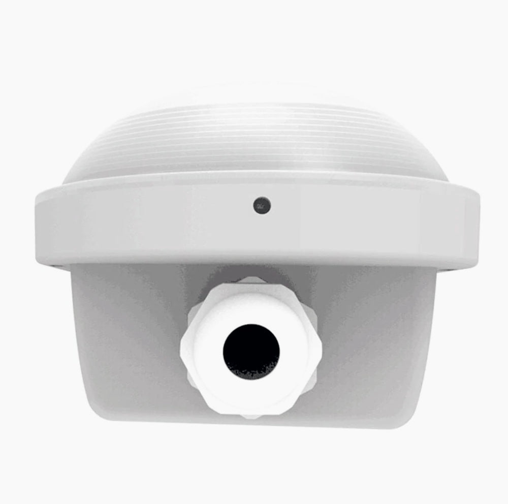 Plafoniera LED al neon per esterni - Tubo 48W 150cm, IP65, 6500K - ambraled