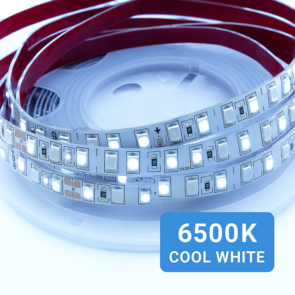 Striscia led 2835 strip 5 metri bobina adesiva 600 led IP55 - ambraled