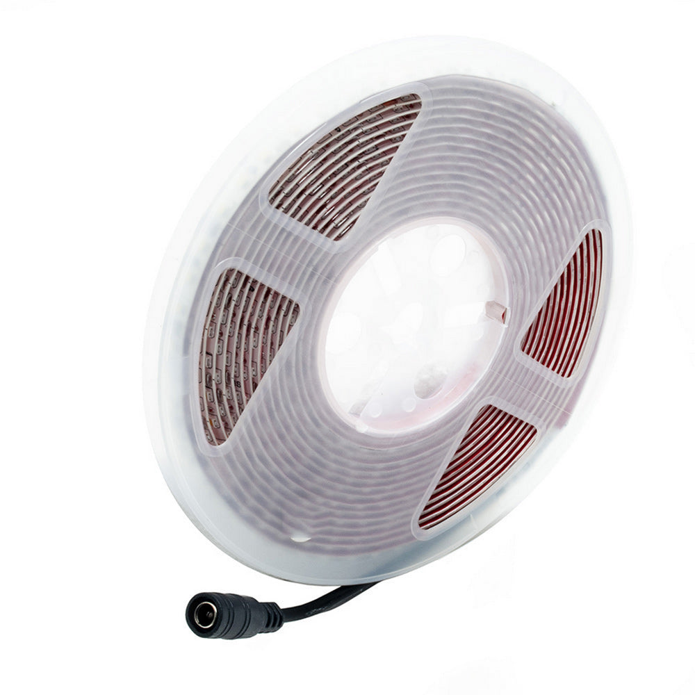 Striscia led 2835 strip 5 metri bobina adesiva 600 led IP55 - ambraled