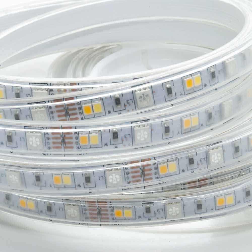 Strip led Smart rgb+ww 5050 5MT controllo app telecomando WI-FI 12V - ambraled
