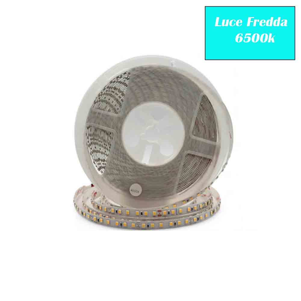 Striscia led strip 2835 10 metri 24V 50 watt luce 6500k 3000k 4000k - ambraled