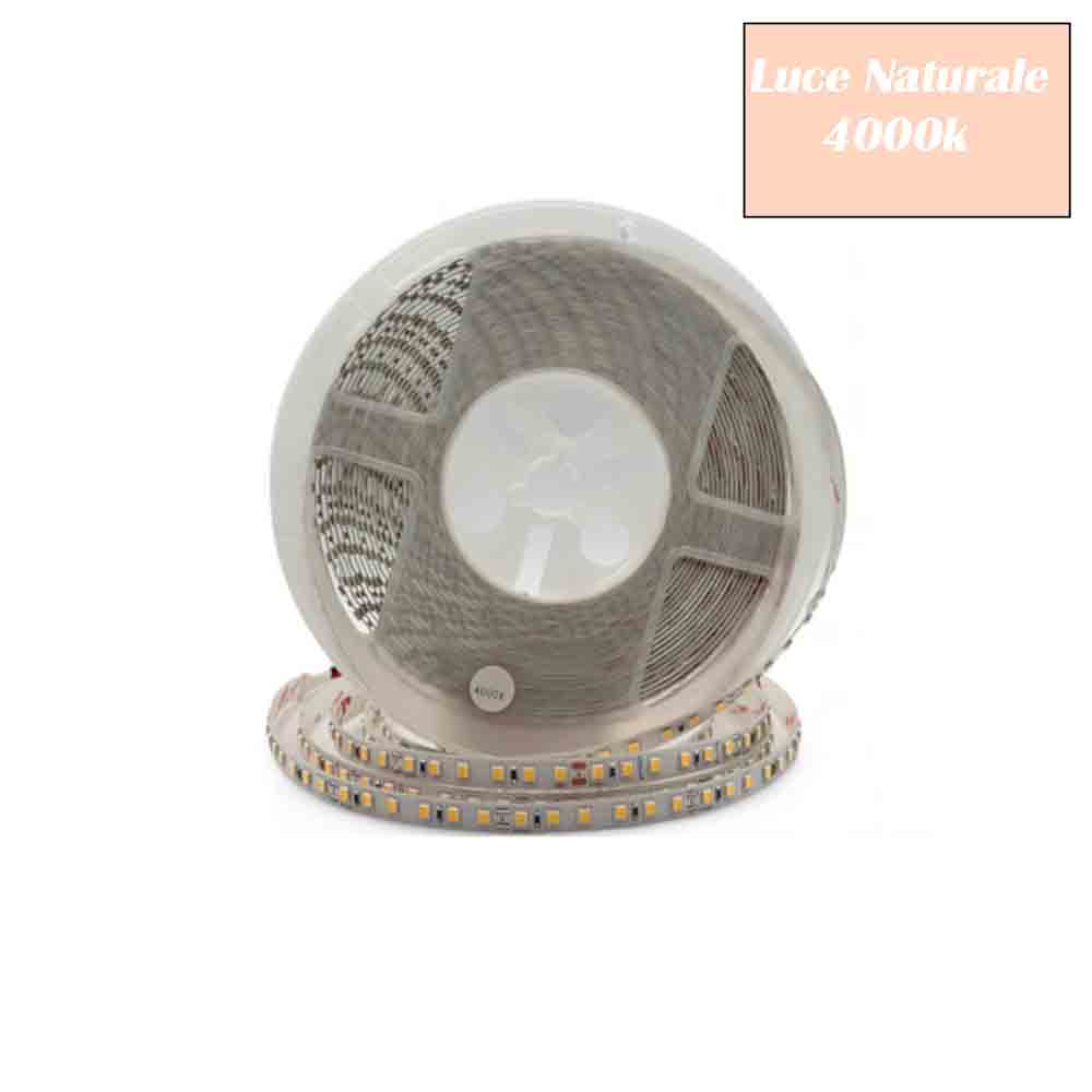 Striscia led strip 2835 10 metri 24V 50 watt luce 6500k 3000k 4000k - ambraled